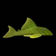 L200 Hi-Fin Green Phantom